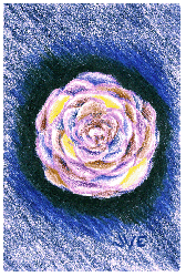 Flower - No Lead Pencil