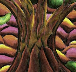 Tree Trunk