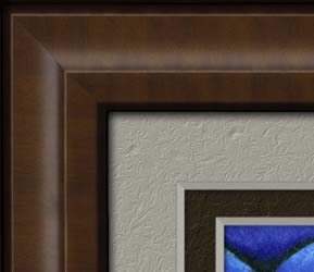 Brown Frame Detaikl