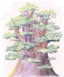 Van Ee Tree 3